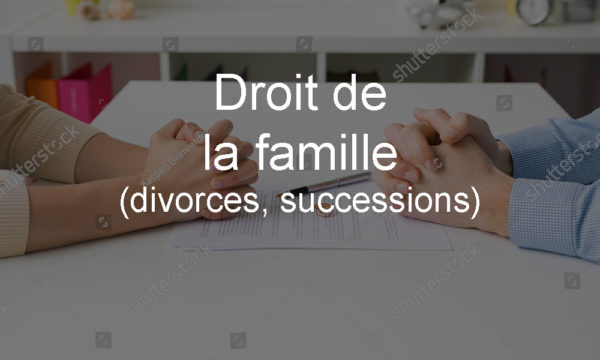 Droit de la famille (divorces, successions)